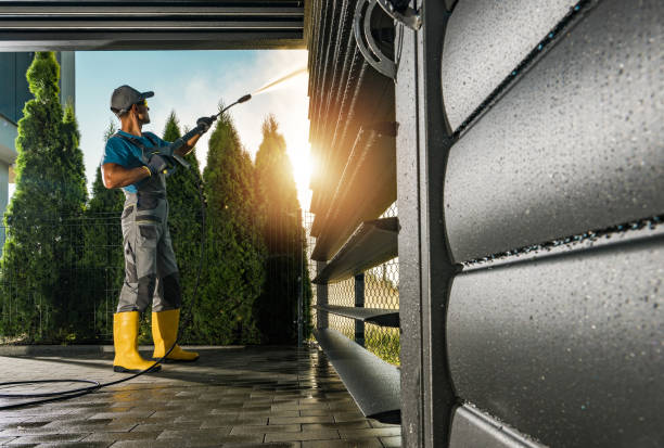 Best Gutter Cleaning  in Shirley, NY